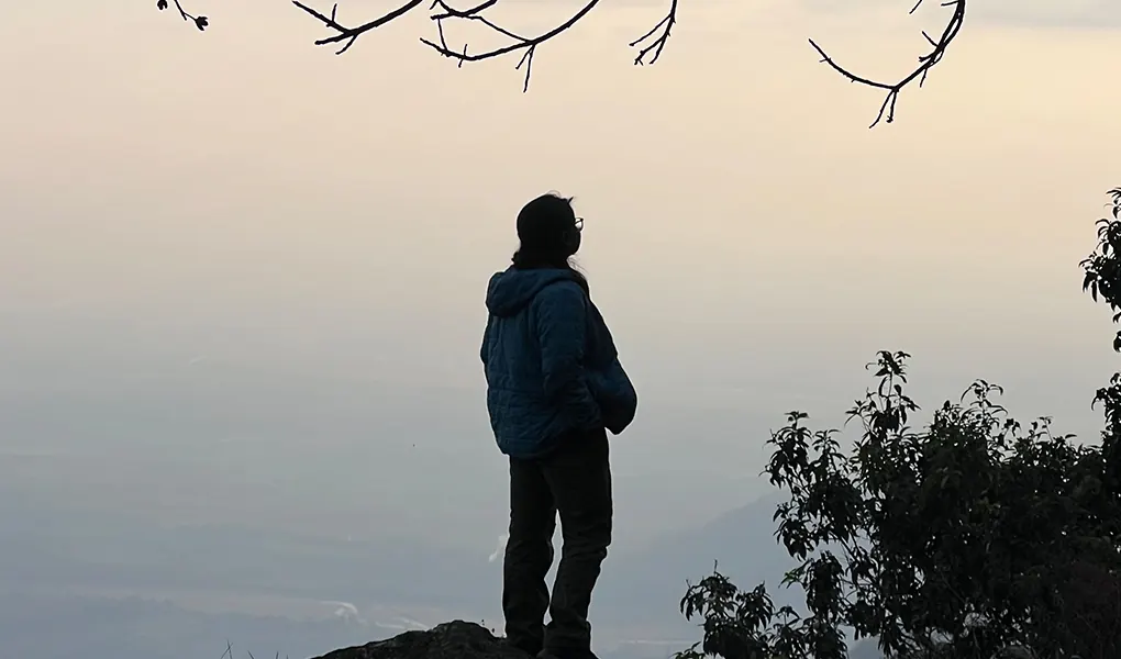 Jungle Walks